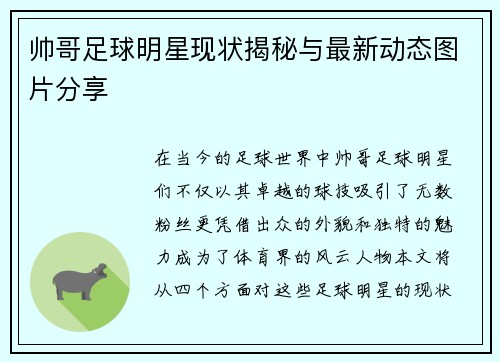 帅哥足球明星现状揭秘与最新动态图片分享
